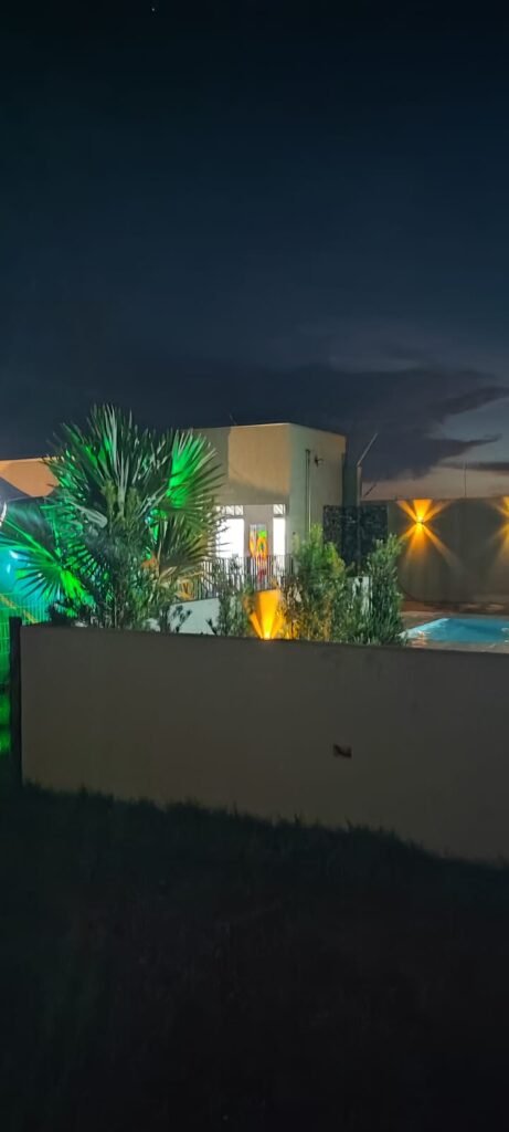 foto parte da piscina e palmeiras noturno