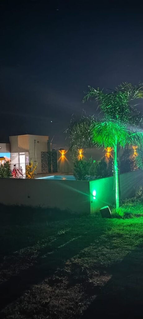 foto piscina e palmeira noturno